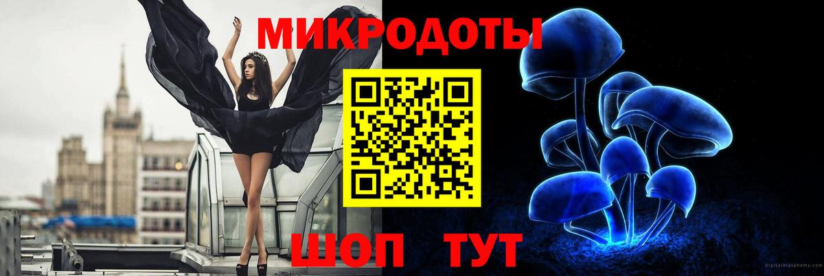 Псилоцибиновые грибы Cubensis Кохма