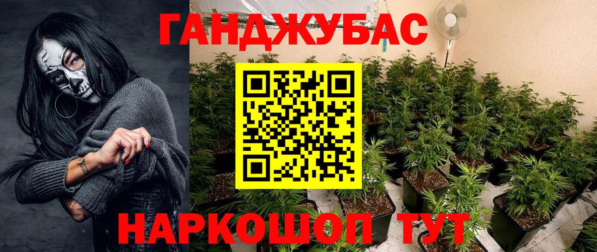 Каннабис индика  Вход с VPN  Шишки марихуана LSD WEED  МАРИХУАНА MAZAR  Кохма  Шишки марихуана план 